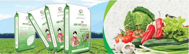 Banner Advertisement