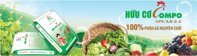 Banner Advertisement