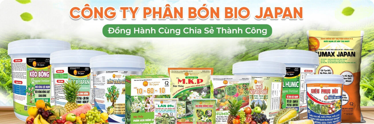 Custom products banner