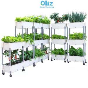 Kệ trồng rau Oliz D202 – Chậu trồng rau tự tưới, có bánh xe di chuyển tiện lợi.