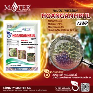 THUỐC TRỪ BỆNH HOANCANHBUL 72WP HIỆU MASTERBUL