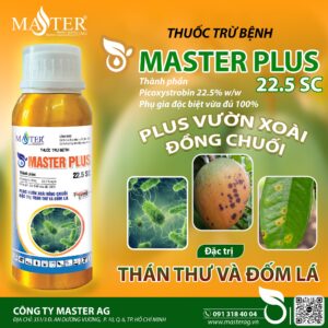 THUỐC TRỪ BỆNH MASTER PLUS 225SC